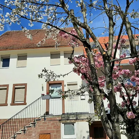 Fiore Gaestezimmer Michelrieth